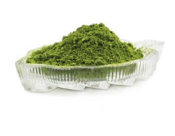 Matcha culinario ecológico de primera calidad