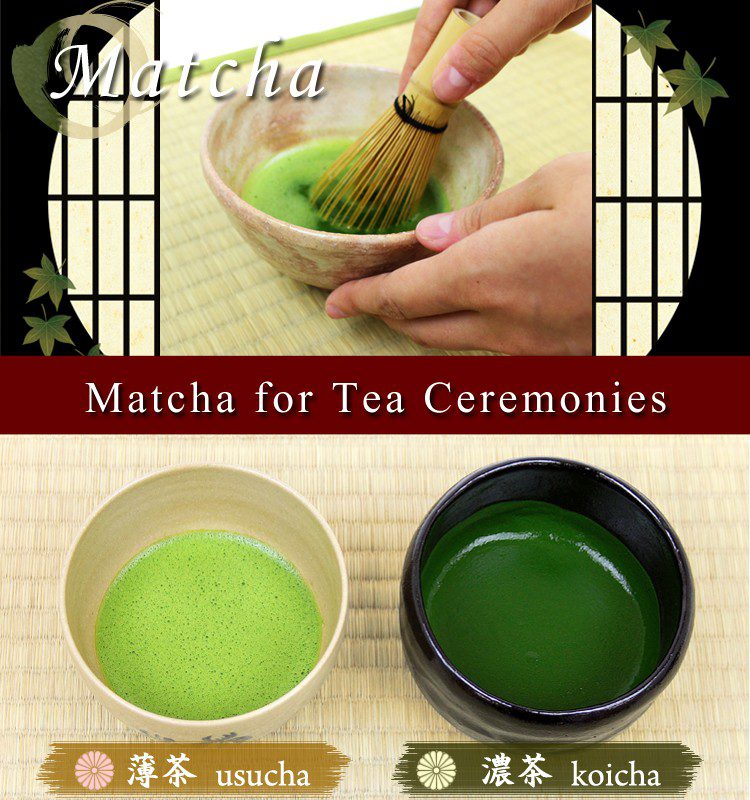 Matcha pour les minces et les épais