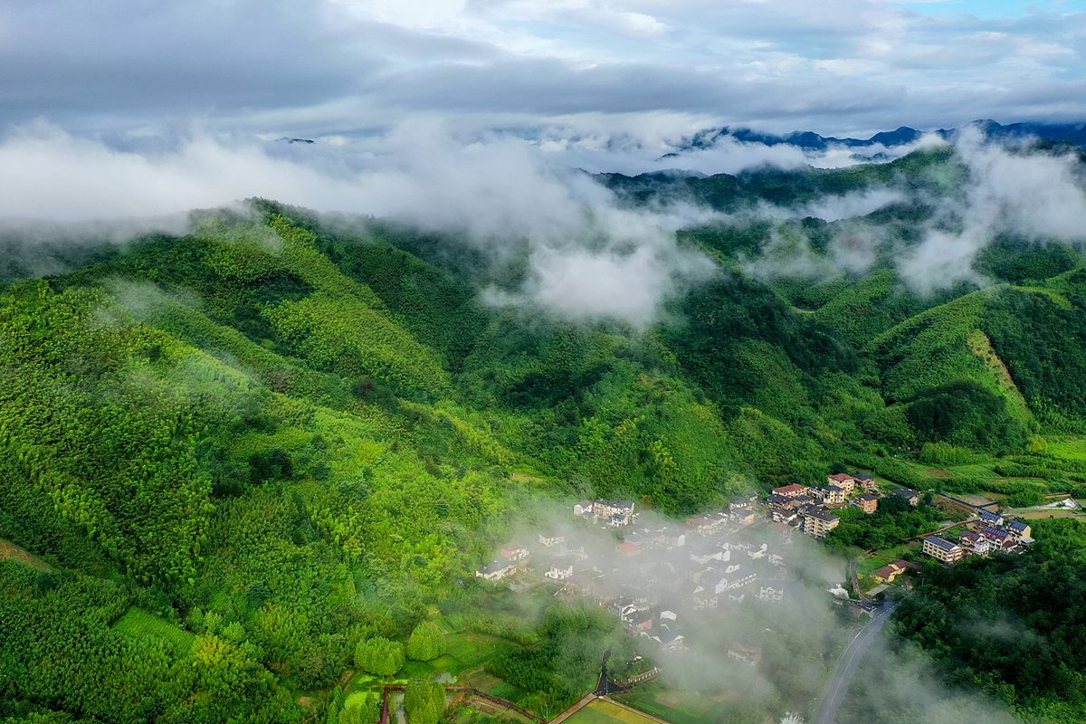 Tian Mu Moutain Townscape