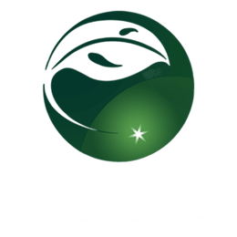 DAYANG ECO LOGO